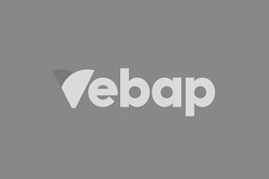 Logo Vebap